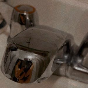 Meet your Posher, Gina